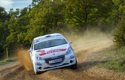 2014 - 208 RallyCup